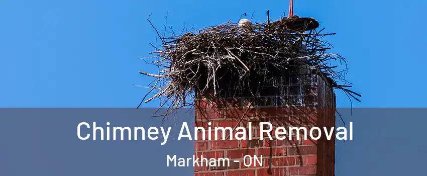 Chimney Animal Removal Markham - ON
