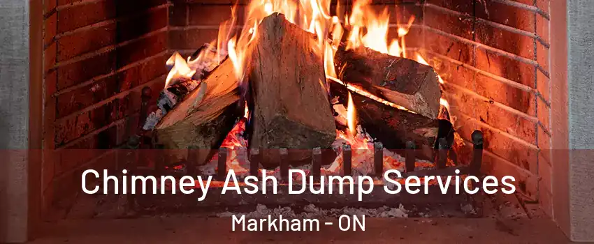  Chimney Ash Dump Services Markham - ON
