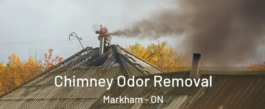  Chimney Odor Removal Markham - ON