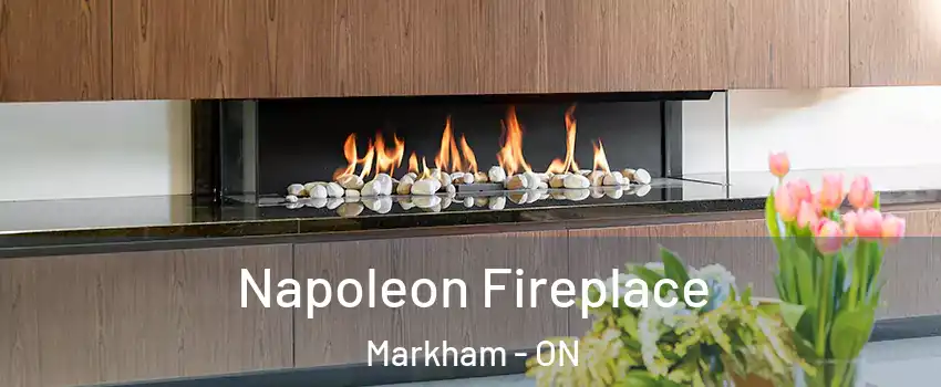  Napoleon Fireplace Markham - ON